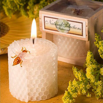 Children's Birthday Party Supp - огляд і ціна Candle Supplies Usa