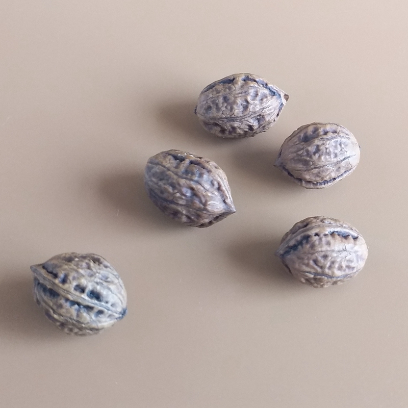 3d Small Walnut Silicone Molds - огляд і ціна Candle Supplies Eu